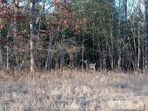 lot5 Castleview, Gladwin, MI 48624 photo 7