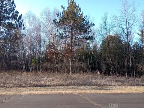 lot5 Castleview, Gladwin, MI 48624 photo 4