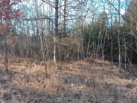 lot5 Castleview, Gladwin, MI 48624 photo 8