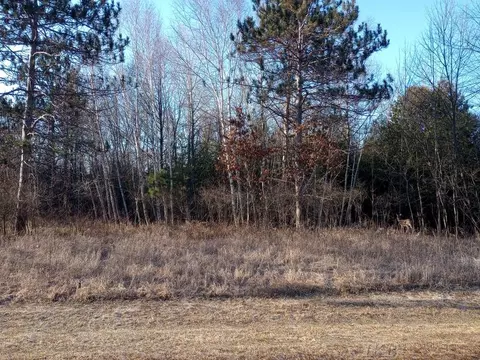 lot5 Castleview, Gladwin, MI 48624 photo 6