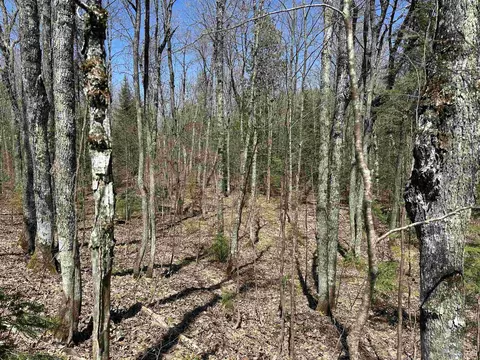Camp 4, Wakefield, MI 49969 photo 26