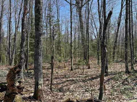 Camp 4, Wakefield, MI 49969 photo 17