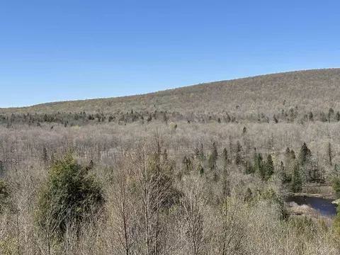 Camp 4, Wakefield, MI 49969 photo 29