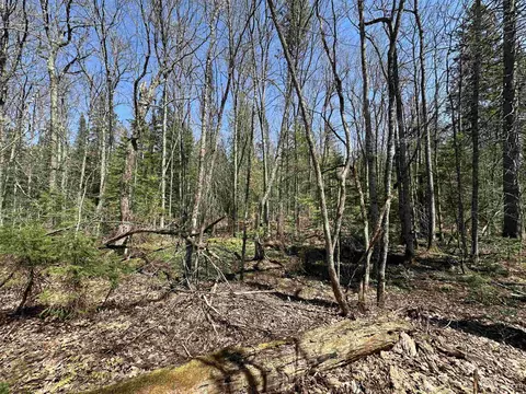 Camp 4, Wakefield, MI 49969 photo 19