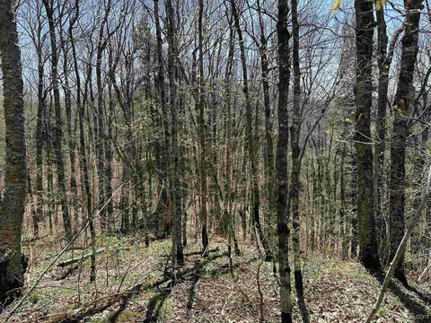 Camp 4, Wakefield, MI 49969 photo 13