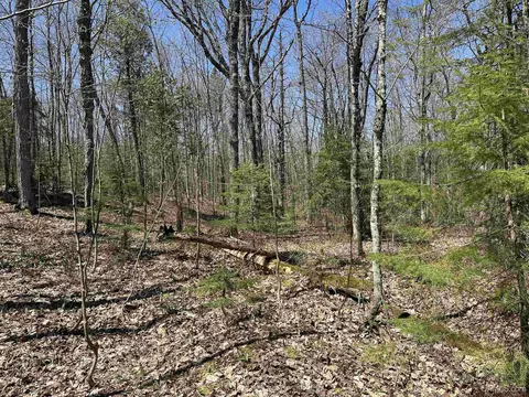 Camp 4, Wakefield, MI 49969 photo 24