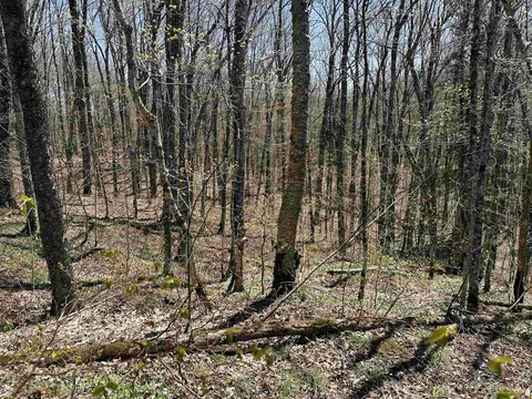 Camp 4, Wakefield, MI 49969 photo 12