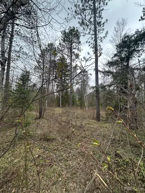 Off Boulder, Gwinn, MI 49841