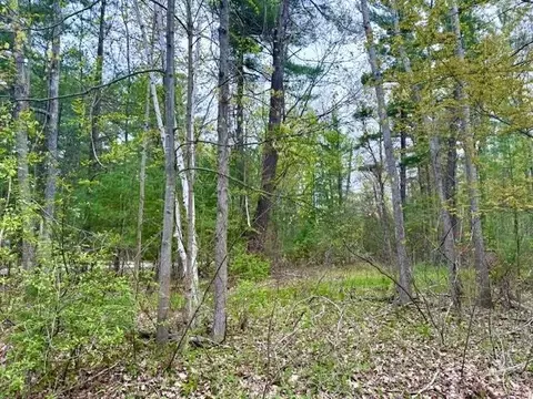 West Branch, Gladwin, MI 48624 photo 5