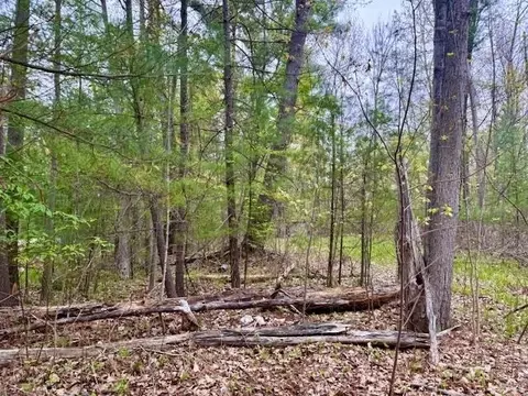 West Branch, Gladwin, MI 48624 photo 3