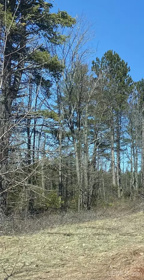 40 Acres Ski Hl, Little Lake, MI 49833