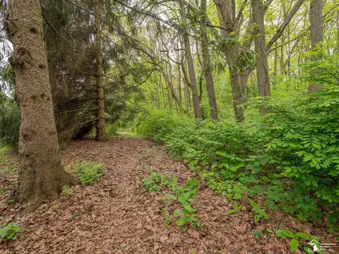Exterior - 11370 Butler, Willis, MI 48191 photo 26 of 27