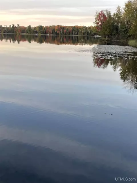 1793 M95, Republic, MI 49879 photo 5