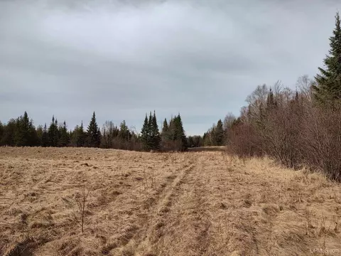 40 Acres Trombley 35th Rd, Rock, MI 49880