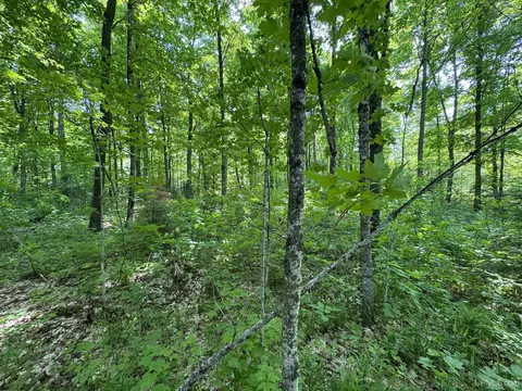 160 Acres Mead Logging, Crystal Falls, MI 49920