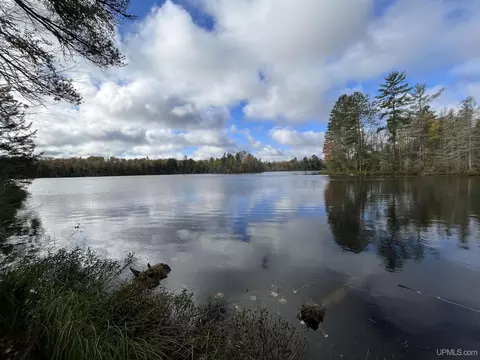 tbd Horseshoe Lk, Republic, MI 49879