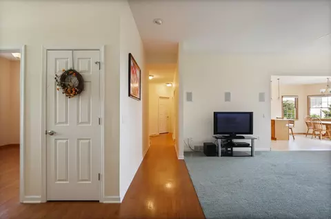 323 Block, Frankenmuth, MI 48734 photo 22