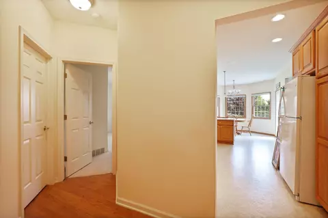 323 Block, Frankenmuth, MI 48734 photo 23