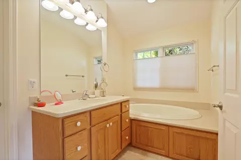 323 Block, Frankenmuth, MI 48734 photo 26