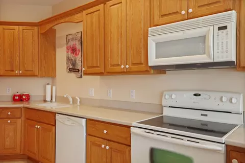 323 Block, Frankenmuth, MI 48734 photo 14