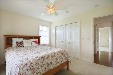 323 Block, Frankenmuth, MI 48734 photo 31