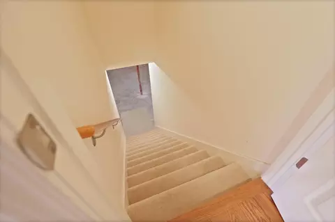 323 Block, Frankenmuth, MI 48734 photo 34