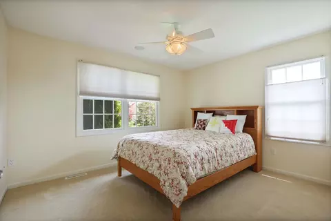 323 Block, Frankenmuth, MI 48734 photo 30