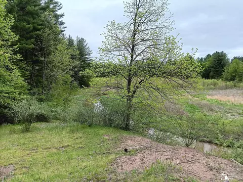View/Area - 546 N M-30, Gladwin, MI 48624 photo 1 of 1