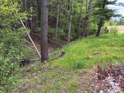 Other - 546 N M-30, Gladwin, MI 48624 photo 1 of 6
