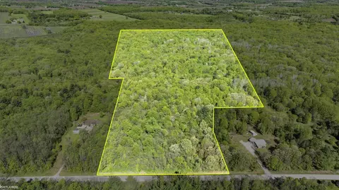 Vacant Emerson, Goodells, MI 48027