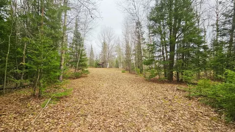 853 Calderwood, Trout Creek, MI 49967