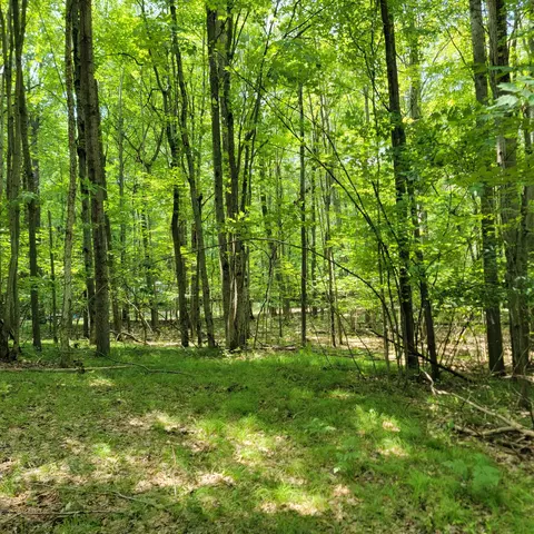 lot1314 Spruce Hl, Farwell, MI 48622