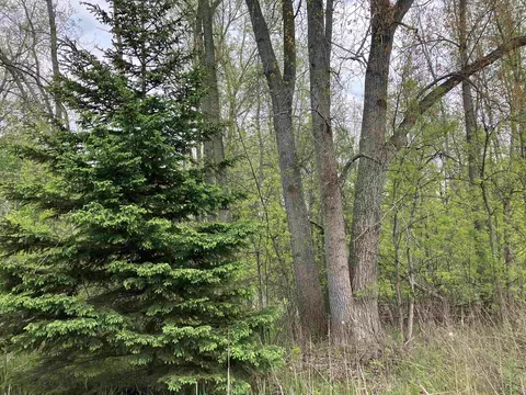 3 W 96 Acres W Isabella, Midland, MI 48640