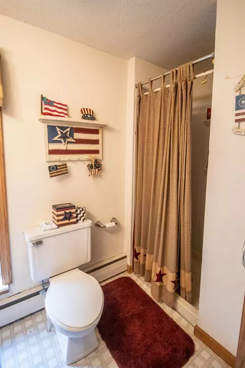 5377 E Vienna, Clio, MI 48420 photo 25