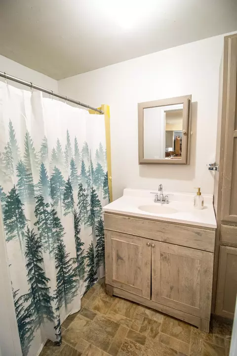 5377 E Vienna, Clio, MI 48420 photo 49