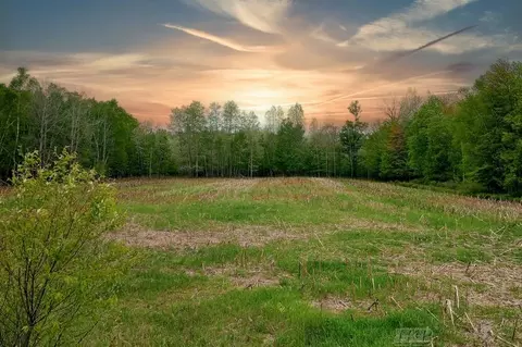 58 NE Acres Ne County Line, Coleman, MI 48618