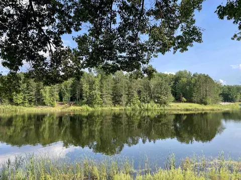 View/Area - 4686 Mohawk Trl, Gladwin, MI 48624 photo 2 of 10