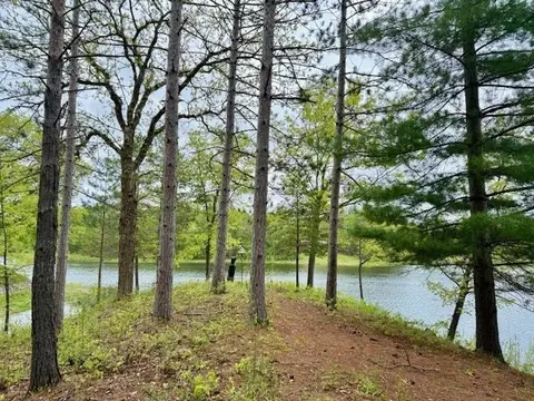 4682 Mohawk Trl, Gladwin, MI 48624 photo 20