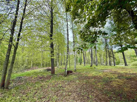 4682 Mohawk Trl, Gladwin, MI 48624 photo 12