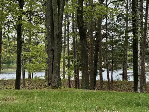 4682 Mohawk Trl, Gladwin, MI 48624 photo 4