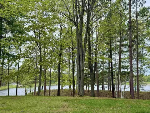 4682 Mohawk Trl, Gladwin, MI 48624 photo 11