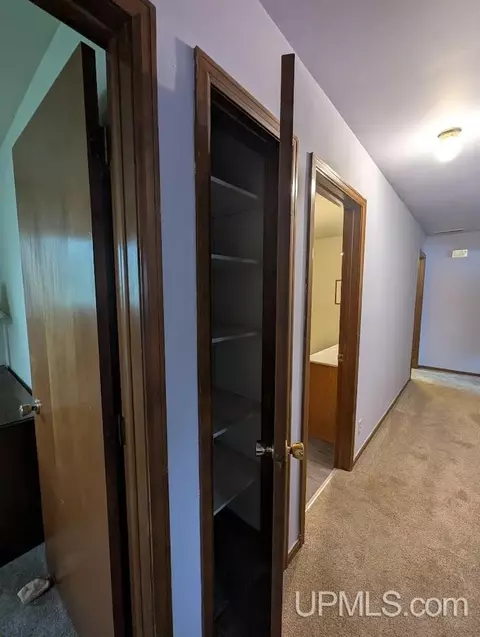 Other - 55 Tamarack, White Pine, MI 49971 photo 9 of 12