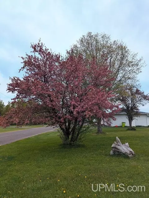 Exterior - 55 Tamarack, White Pine, MI 49971 photo 4 of 4