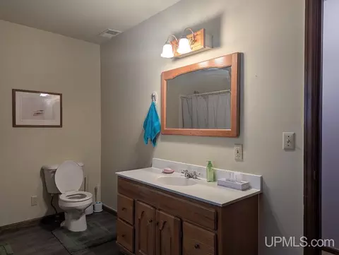Bath - 55 Tamarack, White Pine, MI 49971 photo 2 of 2