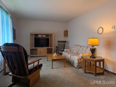 Living - 55 Tamarack, White Pine, MI 49971 photo 1 of 1
