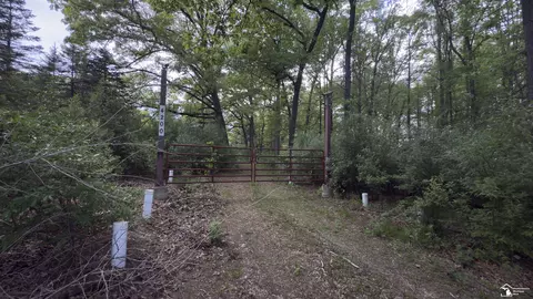 4200 Secor, Ida, MI 48140 photo 2