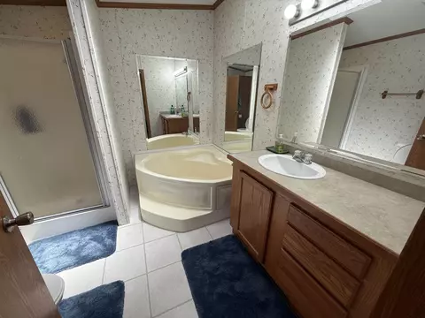 Bath - 631 Rivers Ter, Gladwin, MI 48624 photo 2 of 2