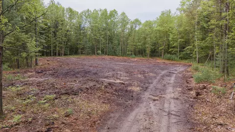 836 Beamish, Midland, MI 48642 photo 18