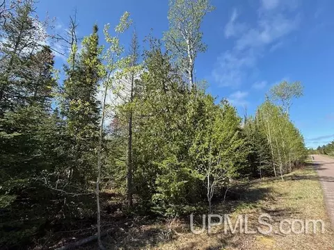 tbd 39 Harbor Coast, Copper Harbor, MI 49918 photo 10