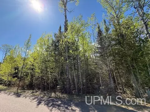 tbd 39 Harbor Coast, Copper Harbor, MI 49918 photo 7